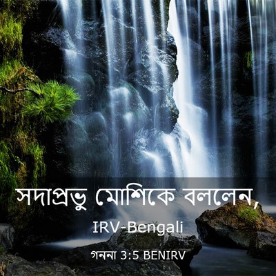 Picture 03 - গননা 3:5 BENIRV - সদাপ্রভু মোশিকে - Bible Verse Picture