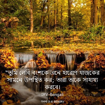 Picture 03 - গননা 3:6 BENIRV - “তুমি লেবি বংশকে - Bible Verse Picture