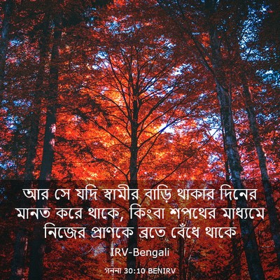 Picture 03 - গননা 30:10 BENIRV - আর সে যদি স্বামীর - Bible Verse Picture