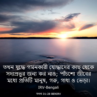 Picture 03 - গননা 31:28 BENIRV - তখন যুদ্ধে - Bible Verse Picture