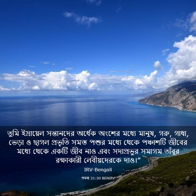 Picture 03 - গননা 31:30 BENIRV - তুমি ইস্রায়েল - Bible Verse Picture