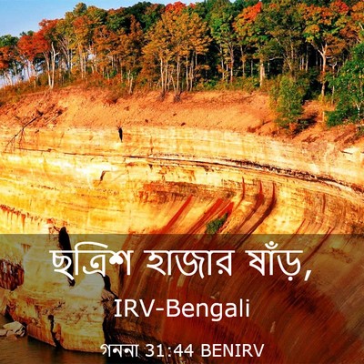 Picture 03 - গননা 31:44 BENIRV - ছত্রিশ হাজার - Bible Verse Picture