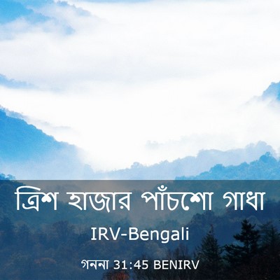 Picture 03 - গননা 31:45 BENIRV - ত্রিশ হাজার - Bible Verse Picture