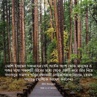 Picture 03 - গননা 31:47 BENIRV - মোশি ইস্রায়েল - Bible Verse Picture