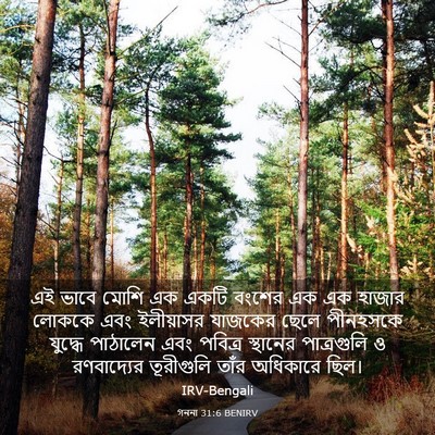 Picture 03 - গননা 31:6 BENIRV - এই ভাবে মোশি এক - Bible Verse Picture