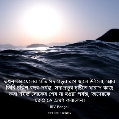 Picture 03 - গননা 32:13 BENIRV - তখন ইস্রায়েলের - Bible Verse Picture