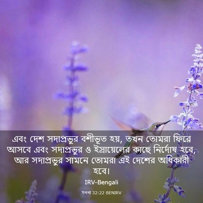 Picture 03 - গননা 32:22 BENIRV - এবং দেশ সদাপ্রভুর - Bible Verse Picture