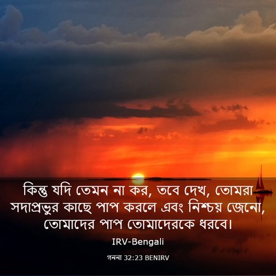 Picture 03 - গননা 32:23 BENIRV - কিন্তু যদি তেমন না - Bible Verse Picture