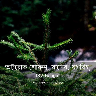 Picture 03 - গননা 32:35 BENIRV - অটরোত শোফন, যাসের, - Bible Verse Picture