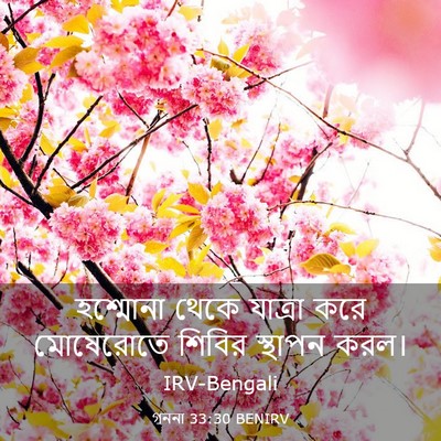 Picture 03 - গননা 33:30 BENIRV - হশ্মোনা থেকে - Bible Verse Picture
