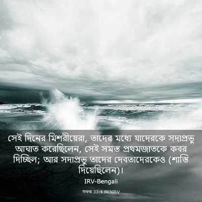 Picture 03 - গননা 33:4 BENIRV - সেই দিনের - Bible Verse Picture