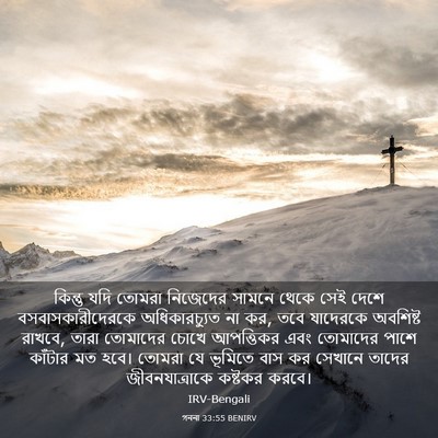 Picture 03 - গননা 33:55 BENIRV - কিন্তু যদি তোমরা - Bible Verse Picture