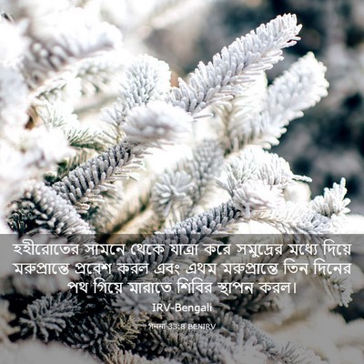 Picture 03 - গননা 33:8 BENIRV - হহীরোতের সামনে - Bible Verse Picture