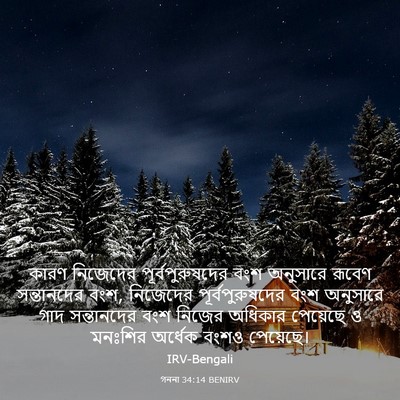 Picture 03 - গননা 34:14 BENIRV - কারণ নিজেদের - Bible Verse Picture