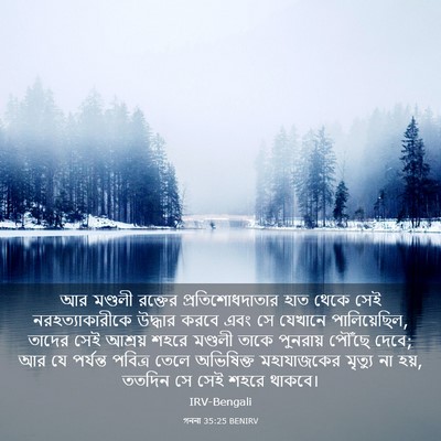Picture 03 - গননা 35:25 BENIRV - আর মণ্ডলী রক্তের - Bible Verse Picture