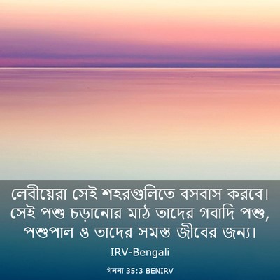Picture 03 - গননা 35:3 BENIRV - লেবীয়েরা সেই - Bible Verse Picture