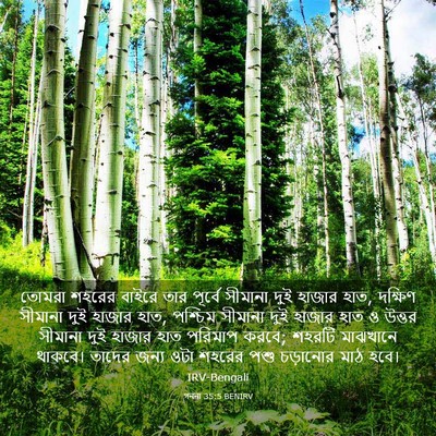 Picture 03 - গননা 35:5 BENIRV - তোমরা শহরের বাইরে - Bible Verse Picture
