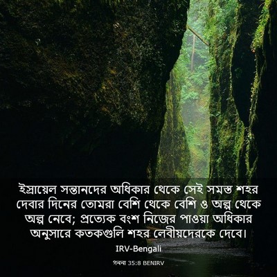 Picture 03 - গননা 35:8 BENIRV - ইস্রায়েল - Bible Verse Picture