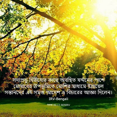 Picture 03 - গননা 36:13 BENIRV - সদাপ্রভু যিরীহোর - Bible Verse Picture