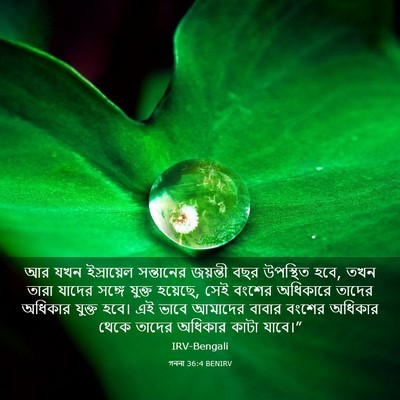 Picture 03 - গননা 36:4 BENIRV - আর যখন ইস্রায়েল - Bible Verse Picture