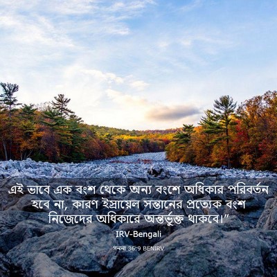 Picture 03 - গননা 36:9 BENIRV - এই ভাবে এক বংশ থেকে - Bible Verse Picture