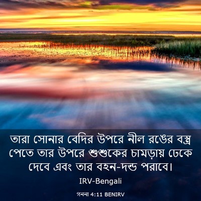 Picture 03 - গননা 4:11 BENIRV - তারা সোনার বেদির - Bible Verse Picture