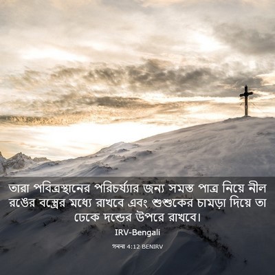 Picture 03 - গননা 4:12 BENIRV - তারা - Bible Verse Picture