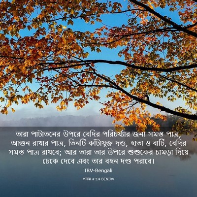 Picture 03 - গননা 4:14 BENIRV - তারা পাটাতনের - Bible Verse Picture
