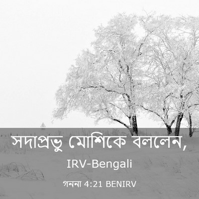Picture 03 - গননা 4:21 BENIRV - সদাপ্রভু মোশিকে - Bible Verse Picture