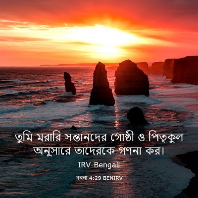 Picture 03 - গননা 4:29 BENIRV - তুমি মরারি - Bible Verse Picture