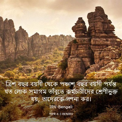 Picture 03 - গননা 4:3 BENIRV - ত্রিশ বছর বয়সী - Bible Verse Picture