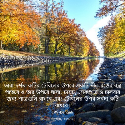 Picture 03 - গননা 4:7 BENIRV - তারা দর্শন-রুটির - Bible Verse Picture