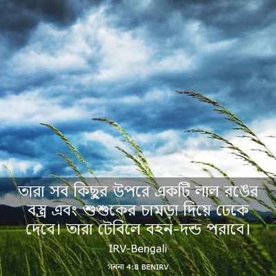 Picture 03 - গননা 4:8 BENIRV - তারা সব কিছুর উপরে - Bible Verse Picture
