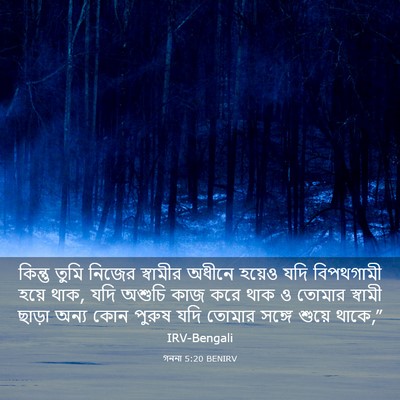 Picture 03 - গননা 5:20 BENIRV - কিন্তু তুমি নিজের - Bible Verse Picture