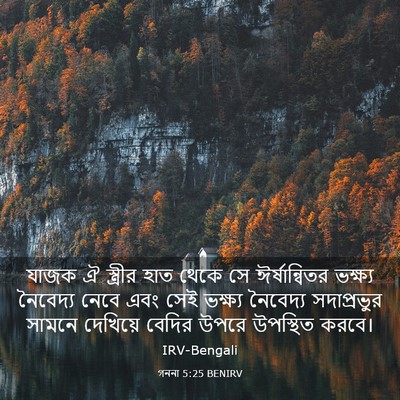 Picture 03 - গননা 5:25 BENIRV - যাজক ঐ স্ত্রীর হাত - Bible Verse Picture