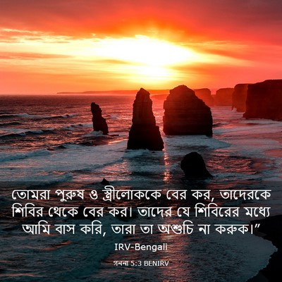 Picture 03 - গননা 5:3 BENIRV - তোমরা পুরুষ ও - Bible Verse Picture