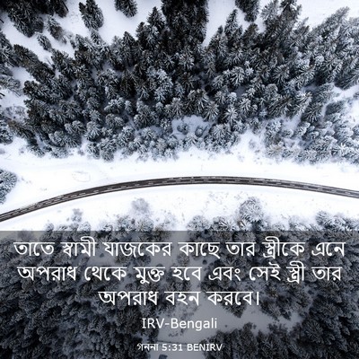 Picture 03 - গননা 5:31 BENIRV - তাতে স্বামী - Bible Verse Picture