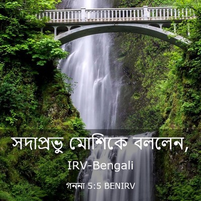 Picture 03 - গননা 5:5 BENIRV - সদাপ্রভু মোশিকে - Bible Verse Picture