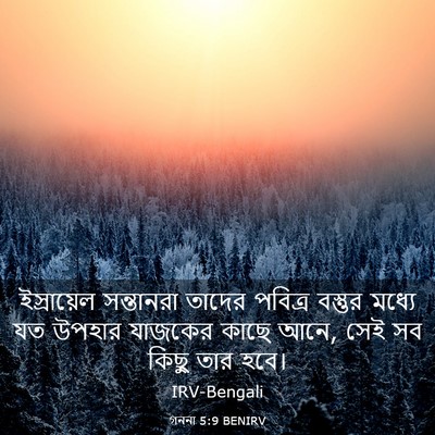 Picture 03 - গননা 5:9 BENIRV - ইস্রায়েল - Bible Verse Picture