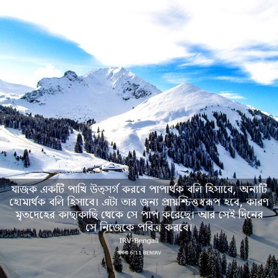 Picture 03 - গননা 6:11 BENIRV - যাজক একটি পাখি - Bible Verse Picture