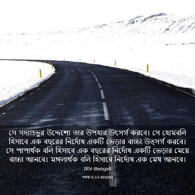 Picture 03 - গননা 6:14 BENIRV - সে সদাপ্রভুর - Bible Verse Picture
