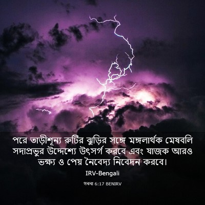 Picture 03 - গননা 6:17 BENIRV - পরে তাড়ীশূন্য - Bible Verse Picture