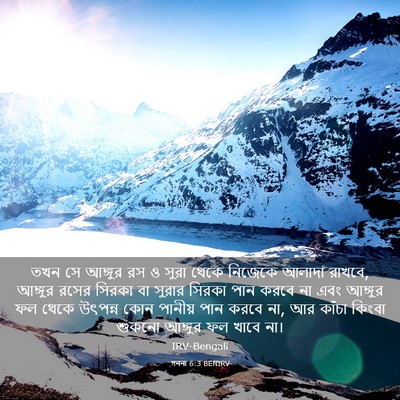 Picture 03 - গননা 6:3 BENIRV - তখন সে আঙ্গুর রস ও - Bible Verse Picture