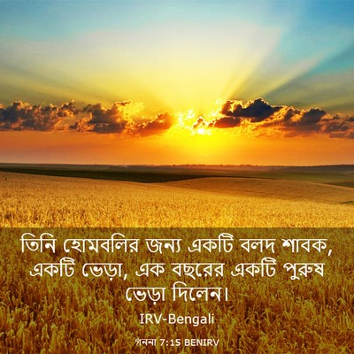 Picture 03 - গননা 7:15 BENIRV - তিনি হোমবলির জন্য - Bible Verse Picture