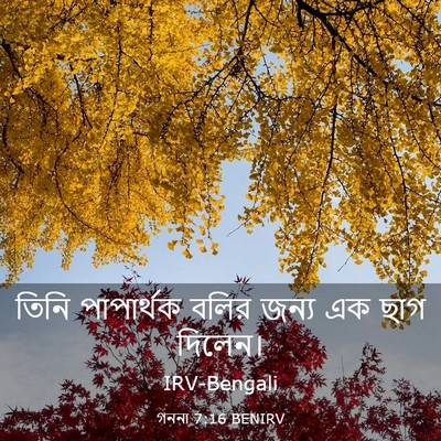 Picture 03 - গননা 7:16 BENIRV - তিনি পাপার্থক - Bible Verse Picture
