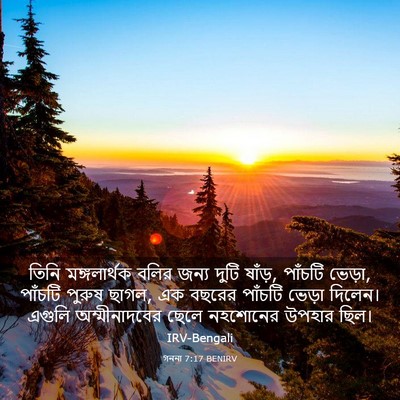 Picture 03 - গননা 7:17 BENIRV - তিনি মঙ্গলার্থক - Bible Verse Picture