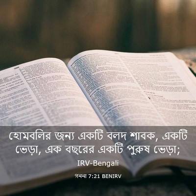 Picture 03 - গননা 7:21 BENIRV - হোমবলির জন্য একটি - Bible Verse Picture
