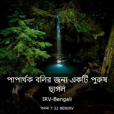 Picture 03 - গননা 7:22 BENIRV - পাপার্থক বলির - Bible Verse Picture