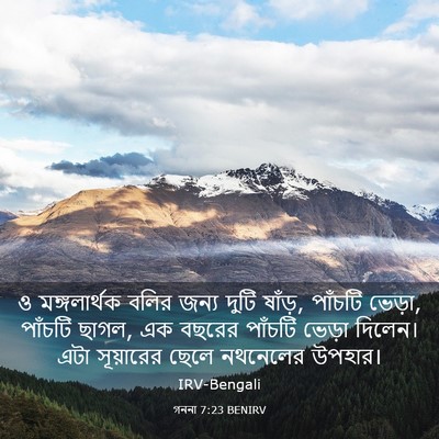 Picture 03 - গননা 7:23 BENIRV - ও মঙ্গলার্থক বলির - Bible Verse Picture