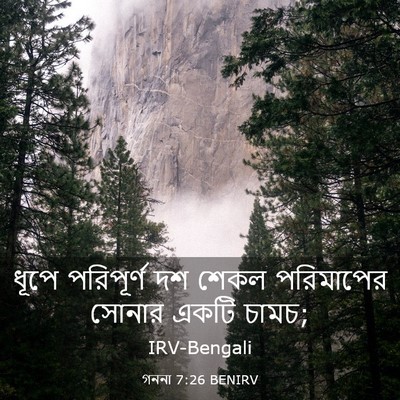 Picture 03 - গননা 7:26 BENIRV - ধূপে পরিপূর্ণ দশ - Bible Verse Picture